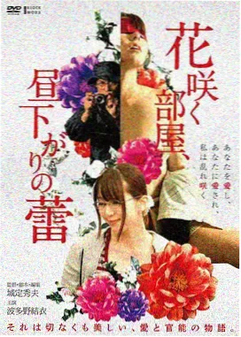 游侠影院排片台与拷贝盒幕后记录图